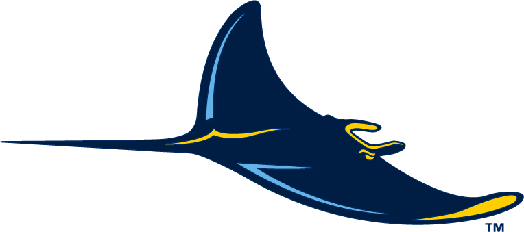 Tampa Bay Rays 2008-Pres Alternate Logo iron on transfers for fabric version 2